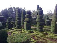 Botanischer Garten von Funchal &ndash; &copy; Lydia Gräbner (Eberhardt TRAVEL)