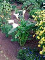 Einzigartige Flora &ndash; &copy; Lydia Gräbner (Eberhardt TRAVEL)