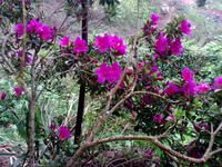 Einzigartige Flora &ndash; &copy; Lydia Gräbner (Eberhardt TRAVEL)