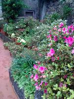Einzigartige Flora &ndash; &copy; Lydia Gräbner (Eberhardt TRAVEL)