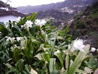 Einzigartige Flora &ndash; &copy; Lydia Gräbner (Eberhardt TRAVEL)