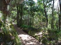 Wanderweg &ndash; &copy; Stephanie John (Eberhardt TRAVEL)