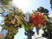 Blütenzauber auf Madeira &ndash; &copy; Stephanie John (Eberhardt TRAVEL)