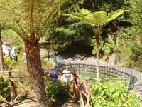 Ribeiro Frio &ndash; &copy; Hans-Joachim Trutz (Eberhardt TRAVEL)