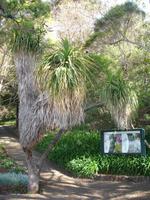 Botanischer Garten in Funchal &ndash; &copy; Hans-Joachim Trutz (Eberhardt TRAVEL)