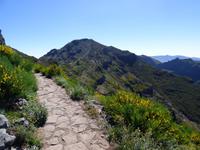 Ein Blick zurück zum Gipfel // Pico do Ruivo &ndash; &copy; Yvonne Geisler (Eberhardt TRAVEL)