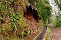 Levada &ndash; &copy; Stephan Geyer (Eberhardt TRAVEL)
