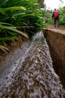 Levada &ndash; &copy; Stephan Geyer (Eberhardt TRAVEL)