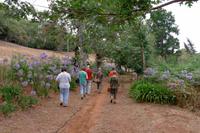 Palheiro Garden &ndash; &copy; Stephan Geyer (Eberhardt TRAVEL)