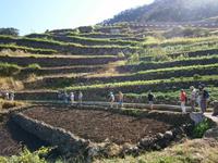 Terrassen &ndash; &copy; Heike Meinhold (Eberhardt TRAVEL)