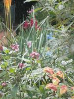 Blumenpracht &ndash; &copy; Heike Meinhold (Eberhardt TRAVEL)