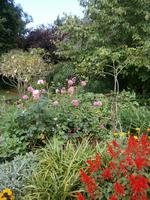 Blumenpracht &ndash; &copy; Heike Meinhold (Eberhardt TRAVEL)