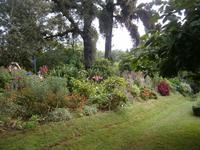 Blumenpracht &ndash; &copy; Heike Meinhold (Eberhardt TRAVEL)