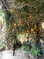 JardimOrchidea - Orchideen Garten &ndash; &copy; Heike Meinhold (Eberhardt TRAVEL)