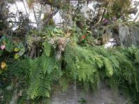 im Orchideen Garten &ndash; &copy; Heike Meinhold (Eberhardt TRAVEL)