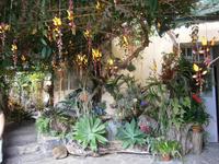 JardimOrchidea - Orchideen Garten &ndash; &copy; Heike Meinhold (Eberhardt TRAVEL)