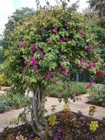 Botanische Garten &ndash; &copy; Heike Meinhold (Eberhardt TRAVEL)
