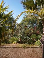 Botanische Garten &ndash; &copy; Heike Meinhold (Eberhardt TRAVEL)