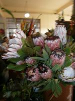 Markthalle &ndash; &copy; Heike Meinhold (Eberhardt TRAVEL)