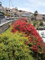 Blumenpracht &ndash; &copy; Heike Meinhold (Eberhardt TRAVEL)