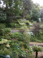 Blumenpracht &ndash; &copy; Heike Meinhold (Eberhardt TRAVEL)