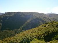 Encumeada-Pass &ndash; &copy; Heike Meinhold (Eberhardt TRAVEL)