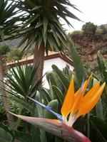 Blumenpracht &ndash; &copy; Heike Meinhold (Eberhardt TRAVEL)