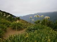 blick ins Tal &ndash; &copy; Heike Meinhold (Eberhardt TRAVEL)