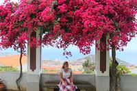 Reisebegleiterin Marianne in Câmara de Lobos &ndash; &copy; Marianne Förster (Eberhardt TRAVEL)