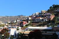 Camara de Lobos &ndash; &copy; Marianne Förster (Eberhardt TRAVEL)
