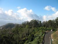 Camacha &ndash; &copy; Stefanie Knisse (Eberhardt TRAVEL)