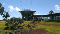 Stadtrundgang in Funchal &ndash; &copy; Stefanie Knisse (Eberhardt TRAVEL)