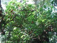 Besuch des Botanischen Garten 