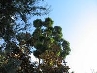 Besuch des Botanischen Garten 