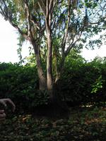 Besuch des Botanischen Garten 
