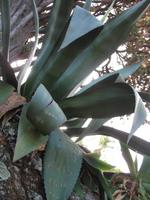 Besuch des Botanischen Garten 
