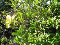 Besuch des Botanischen Garten 
