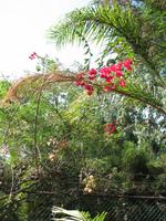 Besuch des Botanischen Garten 