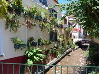 Madeira, Funchal, Santa Maria &ndash; &copy; Ria Heilmann (Eberhardt TRAVEL)