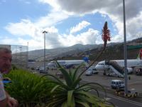 Madeira, Flughafen &ndash; &copy; Ria Heilmann (Eberhardt TRAVEL)