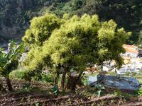 &copy; Steffi Zimmermann (Eberhardt TRAVEL)
