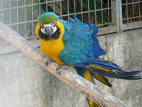 Papageienpark &ndash; &copy; Steffi Zimmermann (Eberhardt TRAVEL)