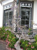 Eingang zum botanischen Garten