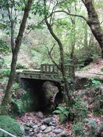 unsere erste kurze Wanderung entlang einer Levada &ndash; &copy; Steffi Zimmermann (Eberhardt TRAVEL)