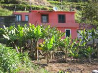 Bananenplantagen &ndash; &copy; Steffi Zimmermann (Eberhardt TRAVEL)