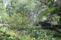 Botanischer Garten_12 &ndash; &copy; Thomas Mühlbauer (Eberhardt TRAVEL)