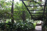 Botanischer Garten_14 &ndash; &copy; Thomas Mühlbauer (Eberhardt TRAVEL)