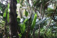 Botanischer Garten_15 &ndash; &copy; Thomas Mühlbauer (Eberhardt TRAVEL)