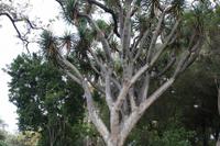 Botanischer Garten_19 &ndash; &copy; Thomas Mühlbauer (Eberhardt TRAVEL)