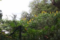 Botanischer Garten_26 &ndash; &copy; Thomas Mühlbauer (Eberhardt TRAVEL)